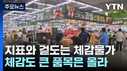 물가 안정됐다는데 체감 못 해...왜? / YTN