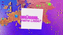 Brüssel, meine Liebe? Nach den Wahlen - ist Deutschland in der Krise?