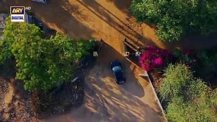 Noor Jahan Episode 30 - 6 September 2024 - ARY Digital