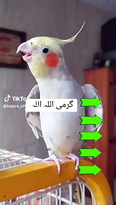 سبحان اللہ ماشاءاللہ