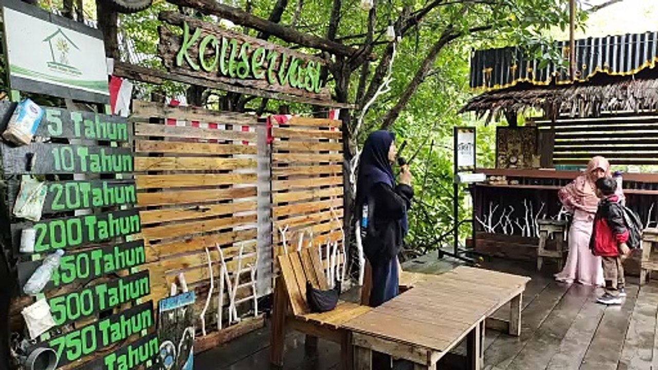 37 Murid SDAT Nurul Haq Diajak Mengenali Hutan Mangrove Youtefa