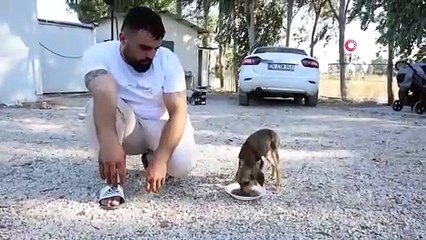 Çuvala Konulup, Çöplük Alana Atılan Yavru Köpeği Sahiplendiler