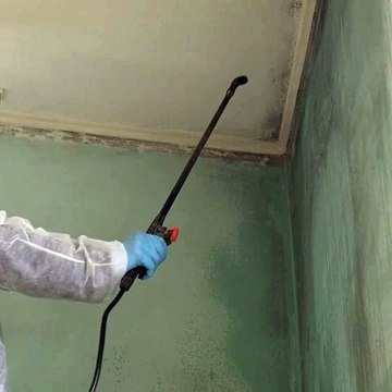 Top Mold Inspections Service: Ensuring a Safe and Healthy Home