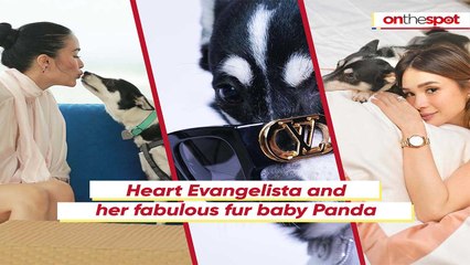 On the Spot: Heart Evangelista and her fabulous fur baby Panda