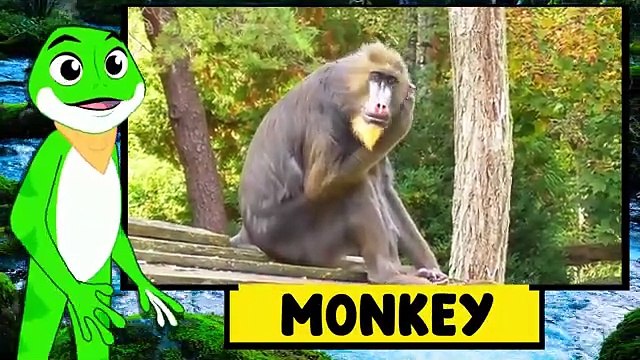 Wild Animals Name & Sound for Kids | Fun Educational Rhymes | Learn Animal Sounds!