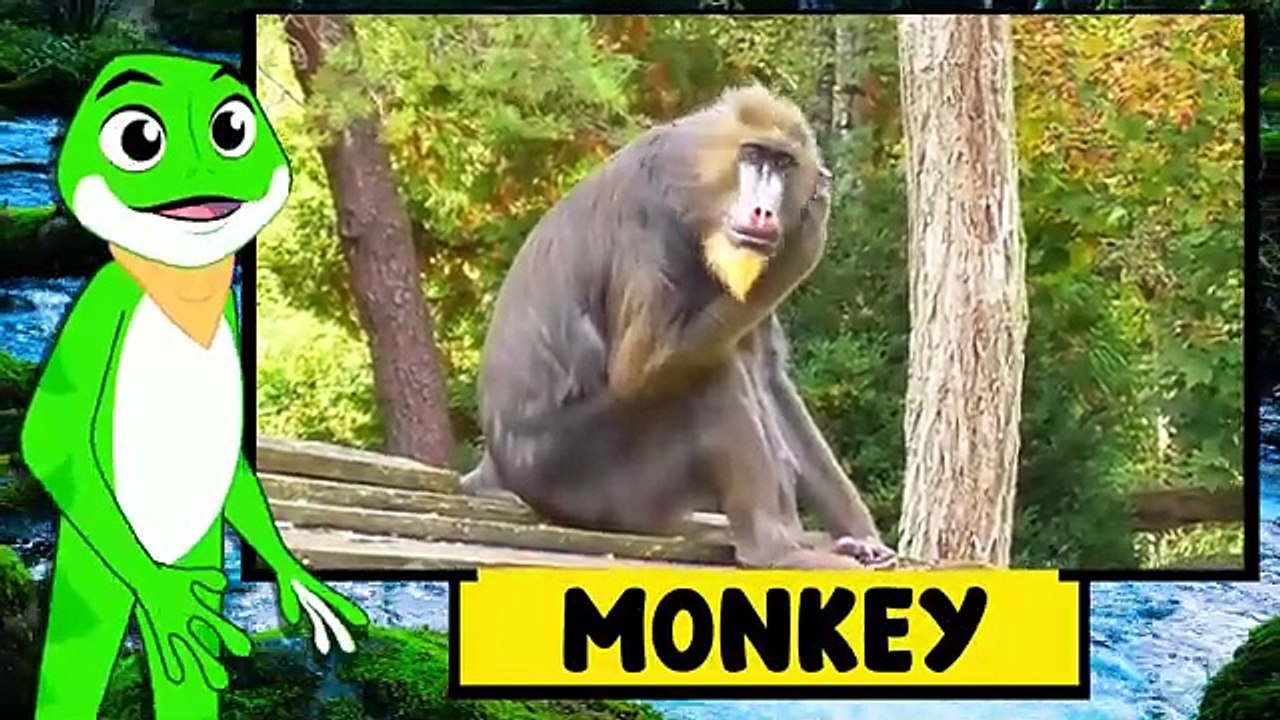  Wild Animals Name & Sound for Kids | Fun Educational Rhymes  | Learn Animal Sounds!