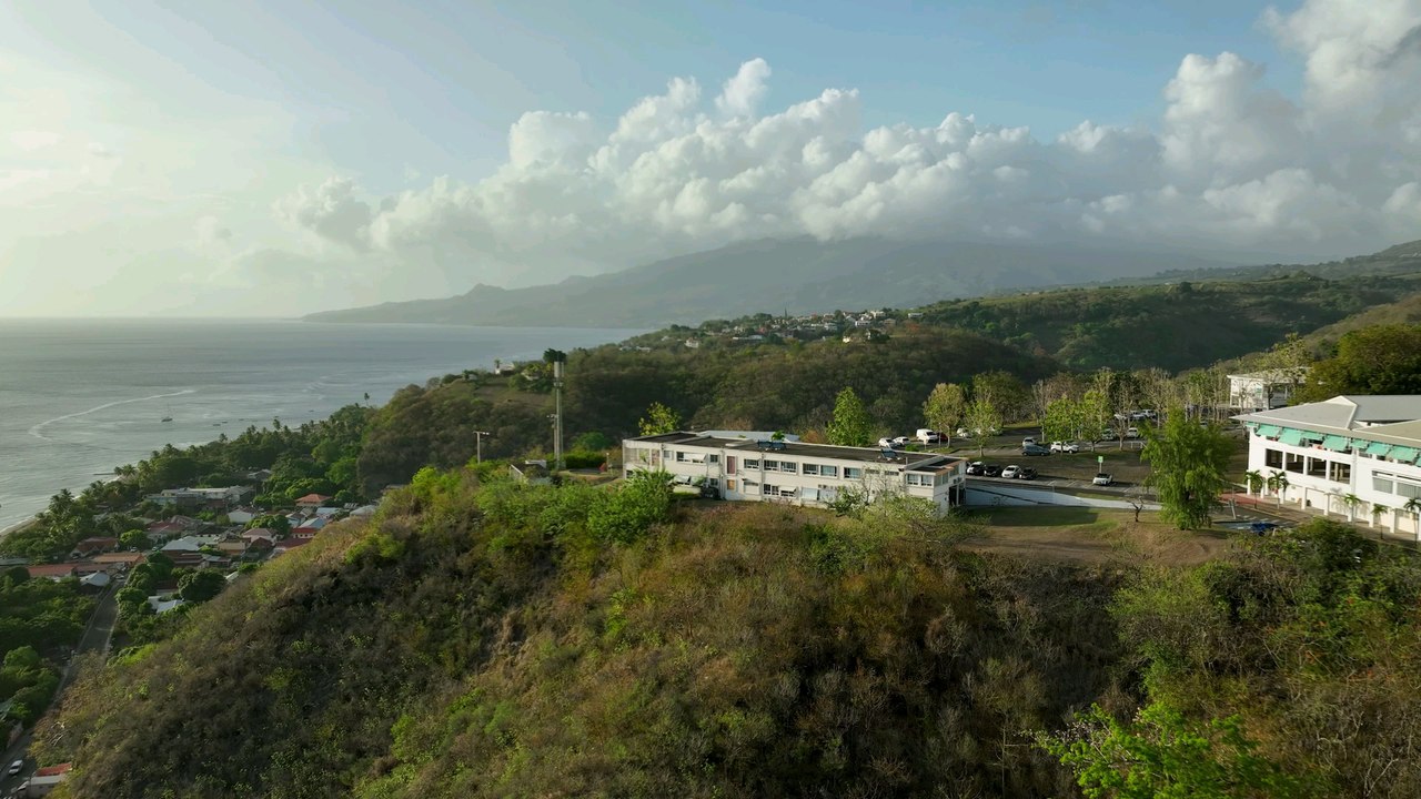 P(Art)age & Handicap 2024