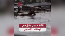 إنقاذ حصان عالق في فيضانات تكساس