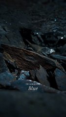 The calmness of blue  .....#nature #moody #cinematic #naturetherapy