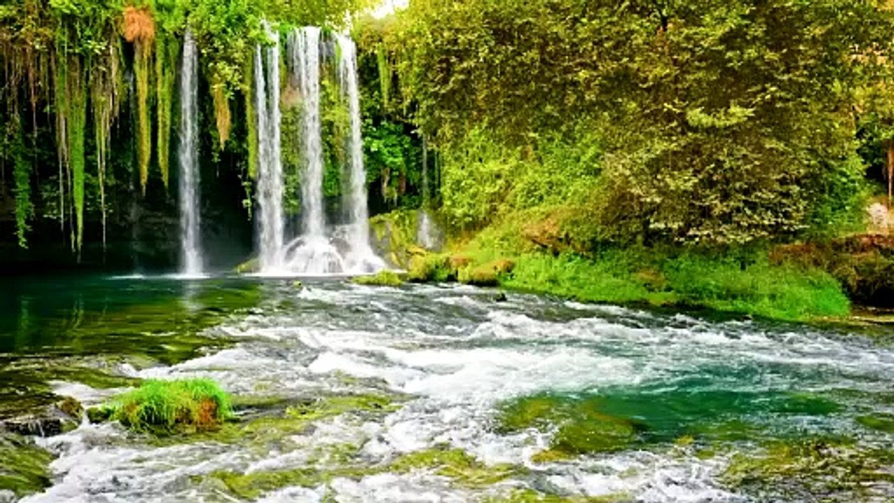 Beautiful Waterfall In Forest | 4k Waterfall with Forest | Nature | Beautiful scene in forest