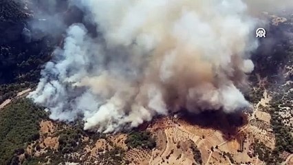 Muğla Menteşe'de orman yangını