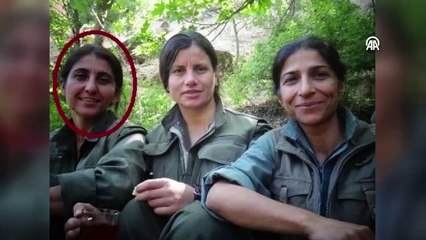 Saha ajanları adım adım izledi… PKK'nın 'İran sorumlusuna' nokta atışı