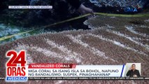 Mga coral sa isang isla sa Bohol, napuno ng bandalismo; suspek, pinaghahanap | 24 Oras Weekend