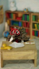 Le débarquement - Professeur Pin