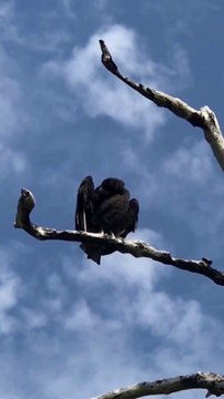 Minutes Mastery a bite-sized learning series | Vol 1 Ep 3 Admitting Flaws | Dr. Veena K. Arora, Triumph through Training Pvt. Ltd. (3T)