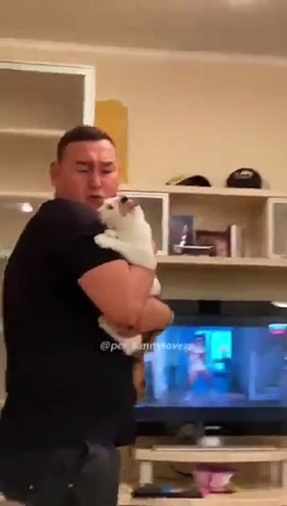 #cat #in #Anger #mood