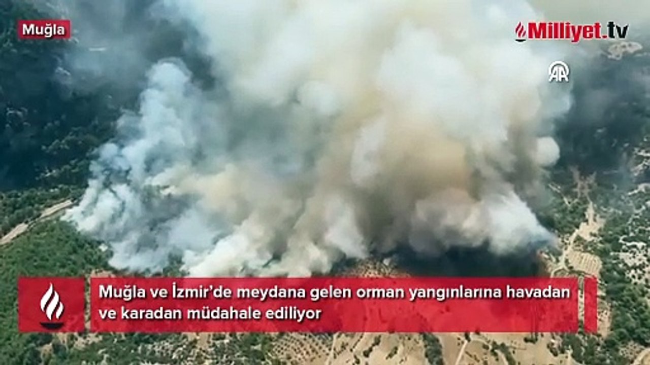 Muğla ve İzmir’de orman yangını: Rüzgarla hızla yayıldı