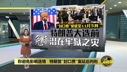 特朗普“封口费”案推迟判决，坚称政治迫害 🏛️