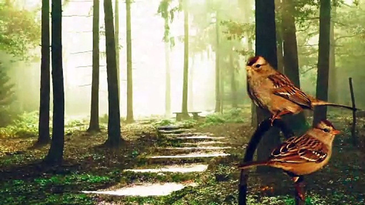 சிட்டுக்குருவி போல நான் சிலிர்த்தது உண்டு _  Open Door Vol 1 _ Song 5 _ New Tamil Christian Songs