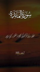 Surah Al Maidah | Islamic knowledge #youtubeshorts #youtubevideo