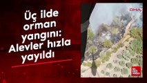 Üç ilde orman yangını: Alevler hızla yayıldı