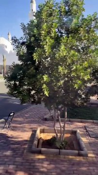 Masjide quba Islam ki Pehli Masjid !!