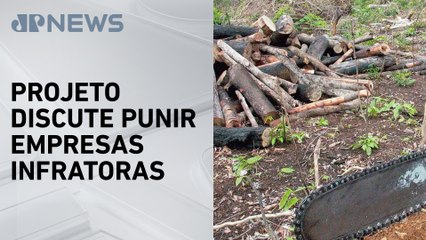 Câmara promete medidas duras contra crimes ambientais