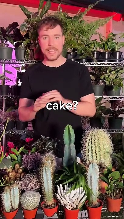 Real or Cake For $10,000 