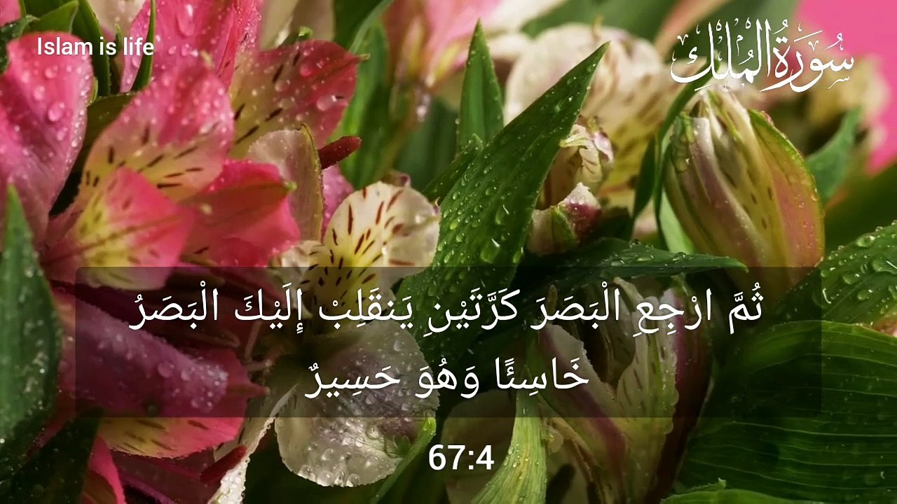 Surah Al-Mulk full | by Abul Wahab Chang with Arabic text | سورة الملك