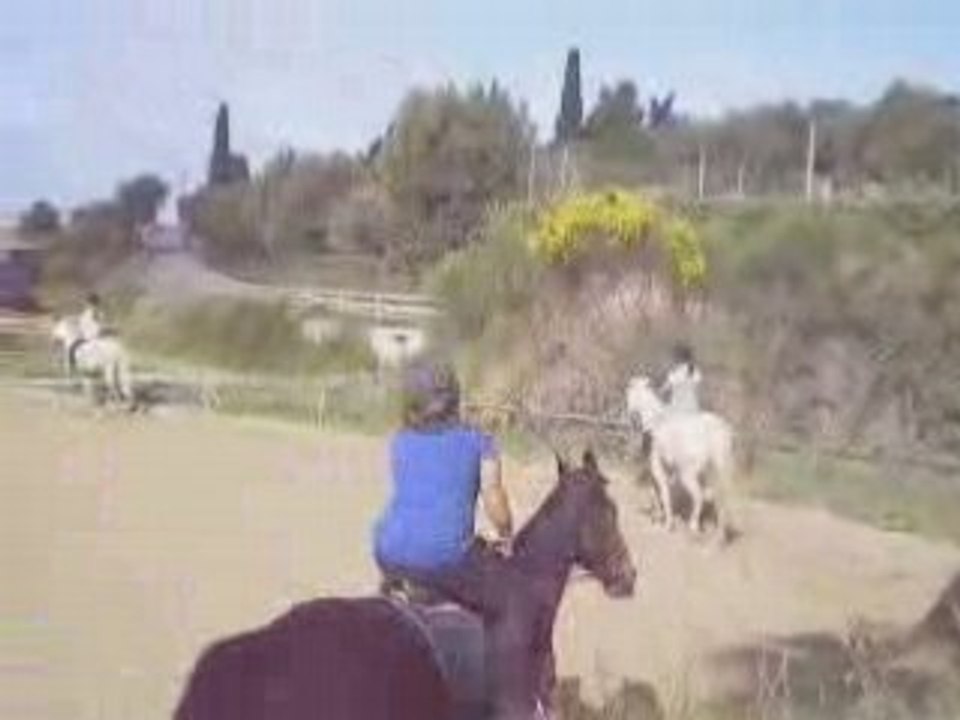 cours du 19 avril 2008