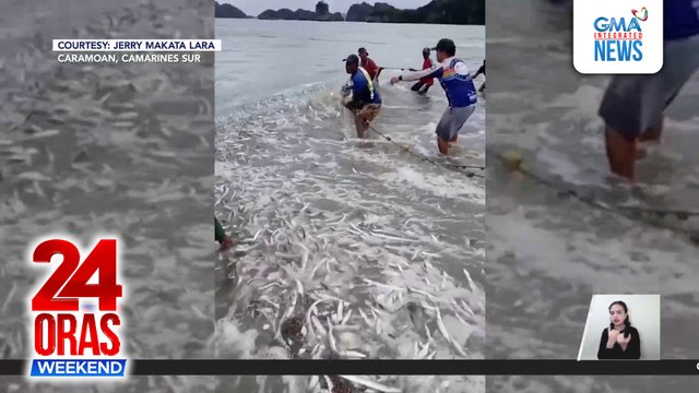 24 Oras Weekend Part 3 - Pre-registered SIMs; Laksa-laksang isda; Sneak peak sa PBB Celebrity housemates; atbp.