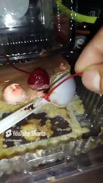 Comiendome un pastelito de tres leches entre botanas y bebidas acostado viendo series de netflix