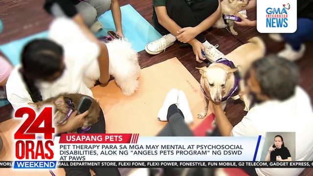 Pet therapy para sa mga may mental at psychosocial disabilities, alok ng angels pets program ng DSWD at PAWS | 24 Oras Weekend