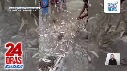 Laksa-laksang isda, pinagtulungang iahon ng mga residente matapos mapadpad sa baybayin | 24 Oras Weekend