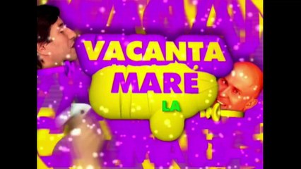 Vacanța Mare - Sezonul 1, Episodul 13