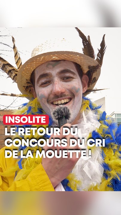 Qui fera le plus beau cri de mouette à Dunkerque ? 🐦