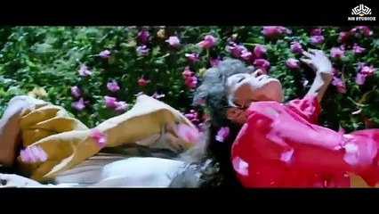 Neele Neele Ambar /Bechain (1993) /Sidhant Salaria , Malvika Tiwari