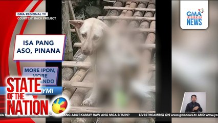 In Case You Missed It - Isa pang aso, pinana; More ipon, more dibidendo | SONA