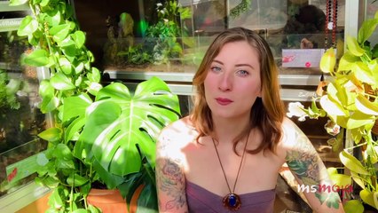 Top 20 Weirdly Cute Pets You Should Own