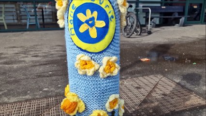 Bollard covers at Littlehampton's Morrisons store celebrate Marie Curie's 2025 Daffodil Appeal