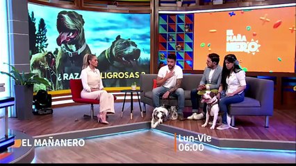 Notivisión Meridiano ∙ Jueves 27 de Febrero de 2025