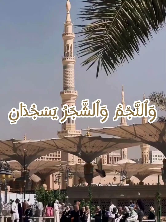The Beauty of Surah Ar-Rahman – Heartfelt Recitation 🌙#short