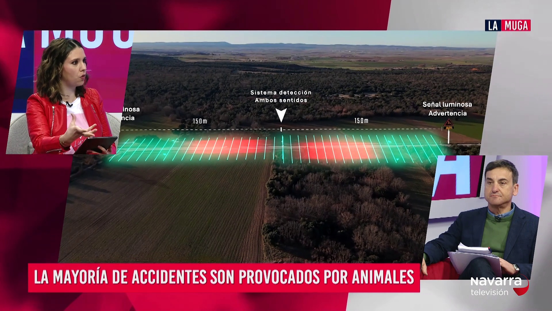 Carreteras inteligentes para evitar accidentes con animales