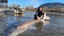 Camping and Fishing for Sturgeon in British Columbia