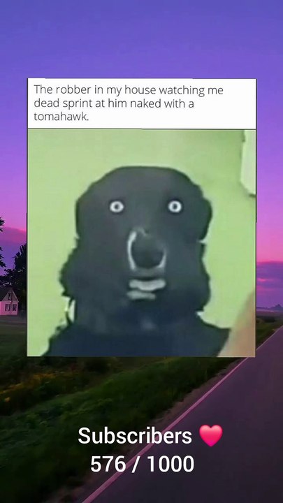 Memes