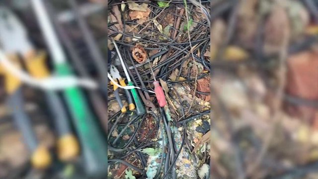 Vídeo mostra momento em que homem é abordado com câmera furtada no Cancelli