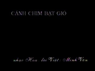Cánh chim bạt gió - Tài Linh ft Mộng Na