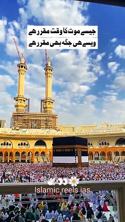 جیسے موت کا وقت مقرر ھے  ویسے ھی جگہ بھی مقرر ھے    #islam #islamicreels_ias #madina #makkah #viral #virareels #trendingreels #trendingvideos #instgaram #instagramreels #facebook #facebookreels #fypシ #fyp #instalike #like #share #follow #thursday #27feb20