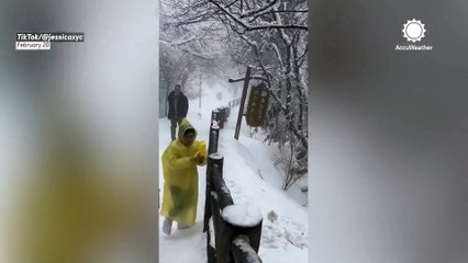 Snowy ducks in a row