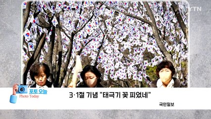 [포토오늘] 3·1절 기념 "태극기 꽃 피었네"  / YTN